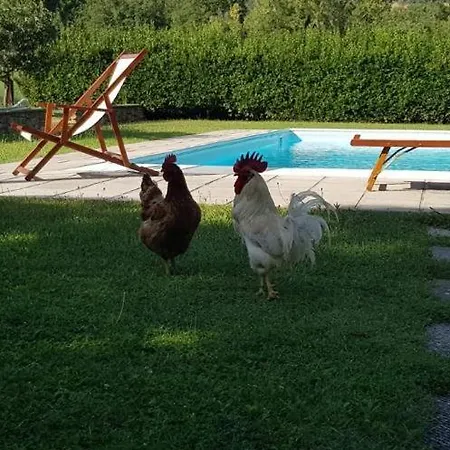 La Bandita * Кортона